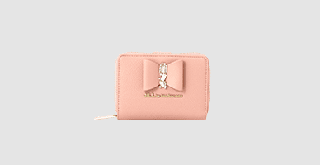 women-wallet-accessory