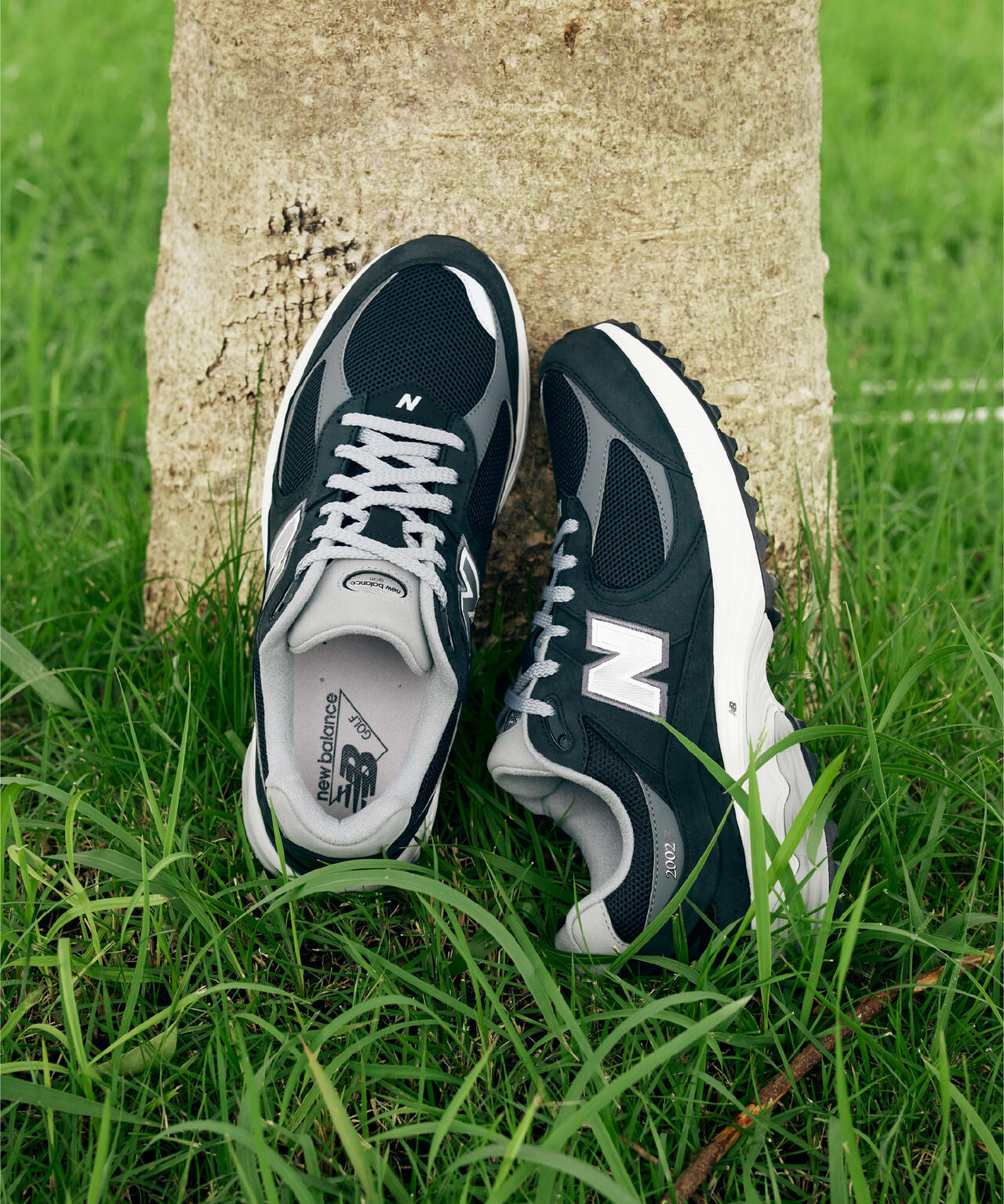 e569b92f-f632-5dd1-b2e6-19e534b2ff69_Image