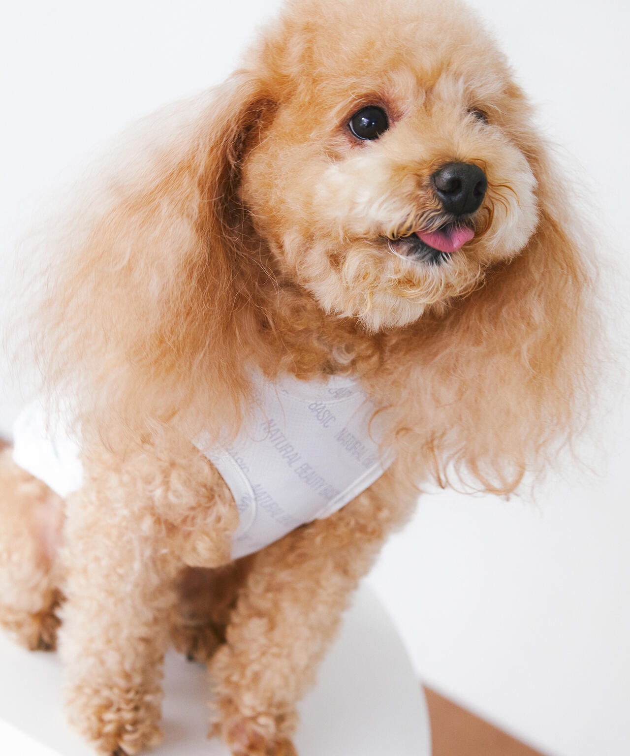 DOG メッシュ総ロゴTee*