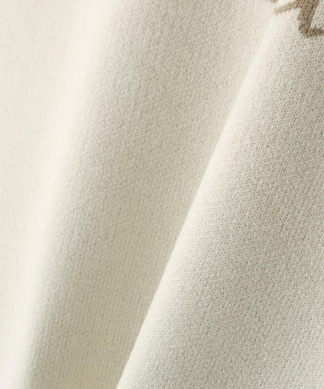 【Oggi掲載】ダブルジャガードロゴニット