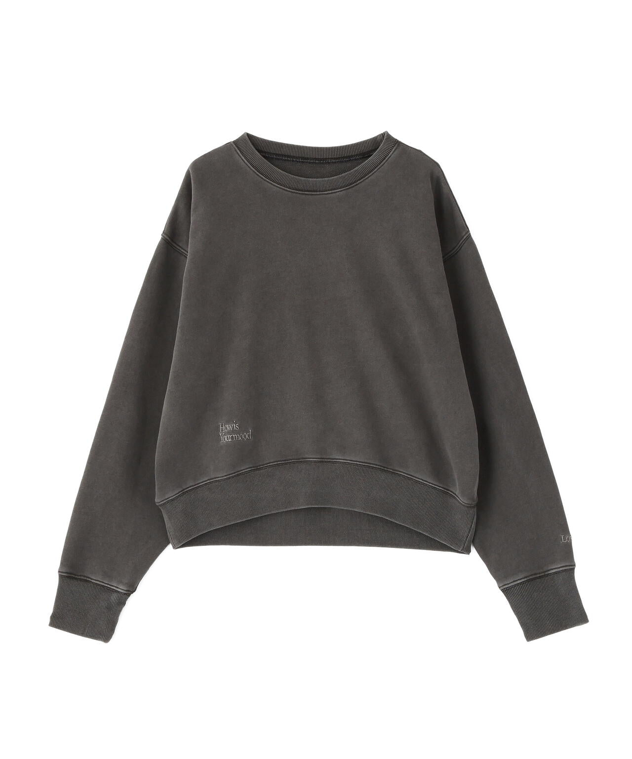 ロゴ刺繍スウェットプルオーバー