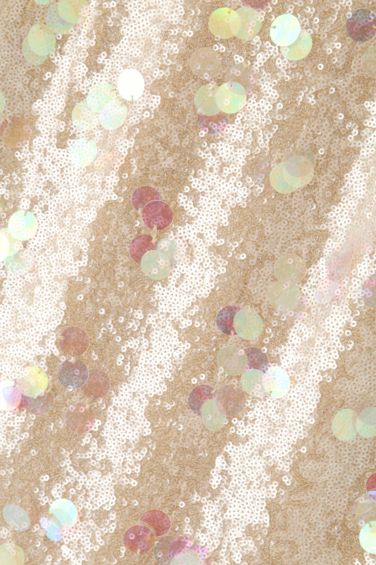 b7fef771-2556-5f93-b542-fb5eb4612ec3_Image