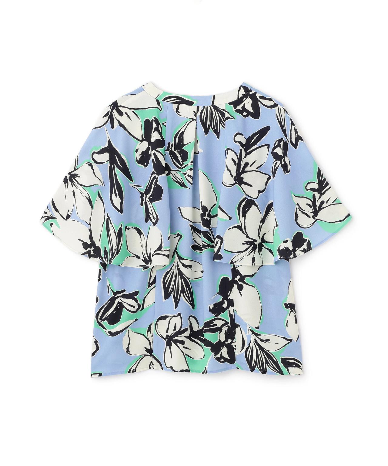 d3c386bb-2ed2-5655-8303-884bfe4baa4b_Image