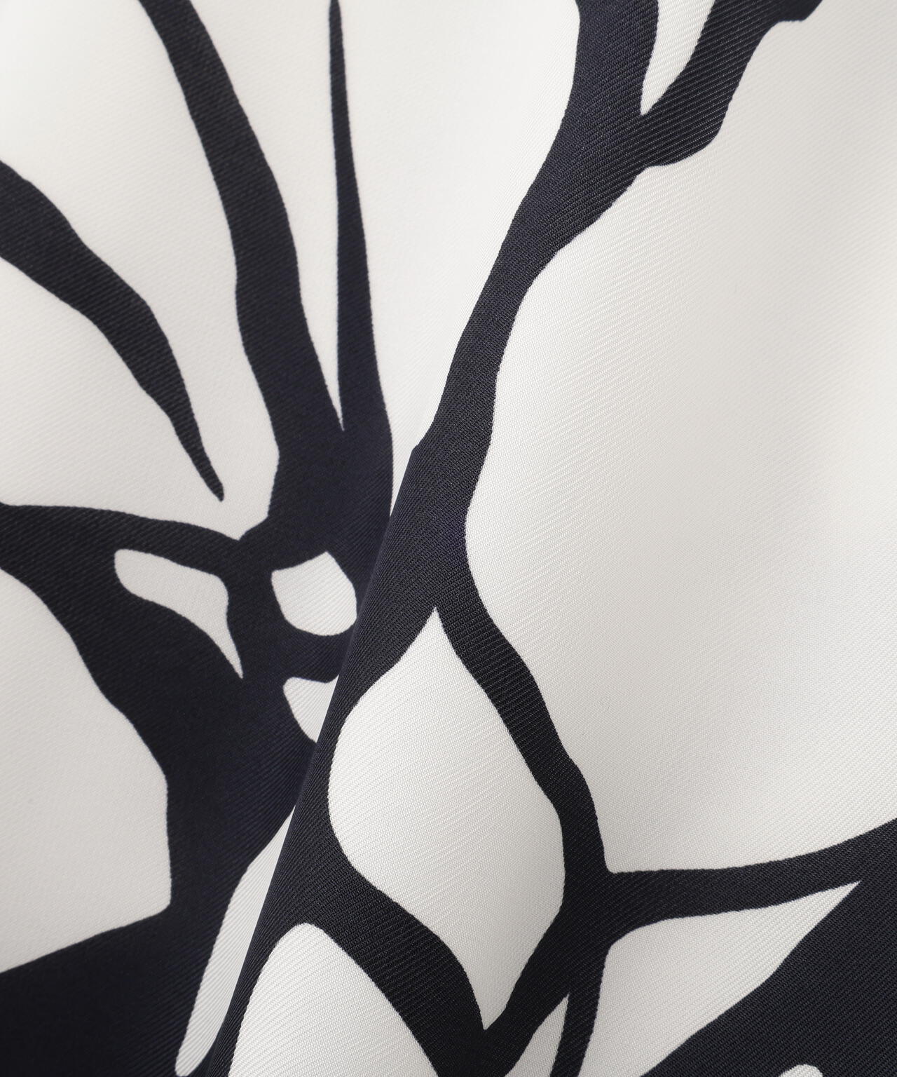 21107140-4ea1-5e5c-96a5-fe1d917a88af_Image