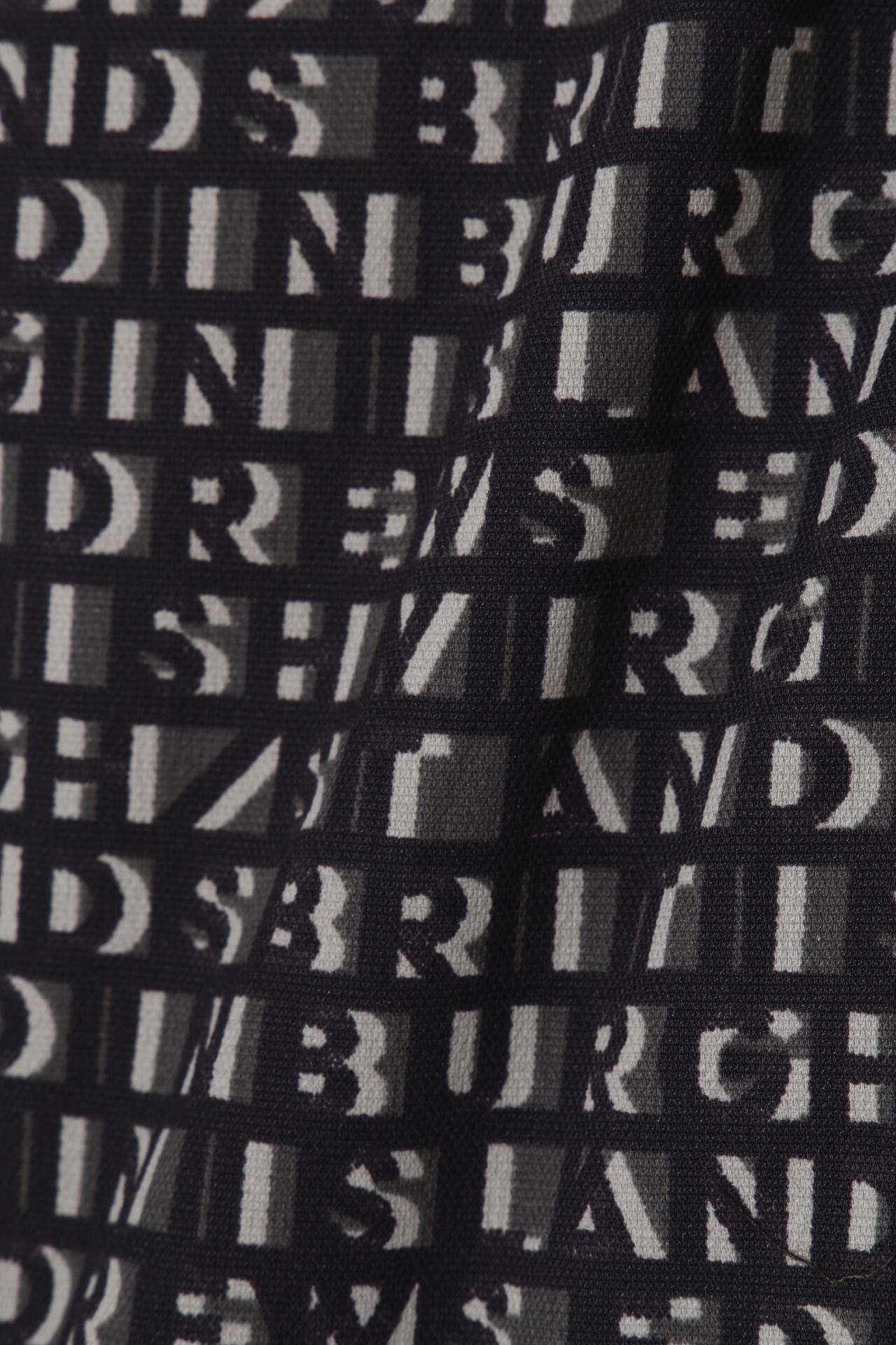 94069033-fbc6-5670-ba87-4a594b2ea9f6_Image