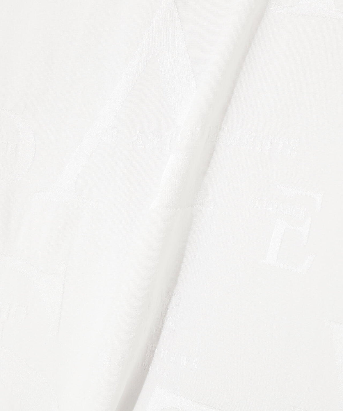 コンセプト柄ジャガードスカート (WOMENS)