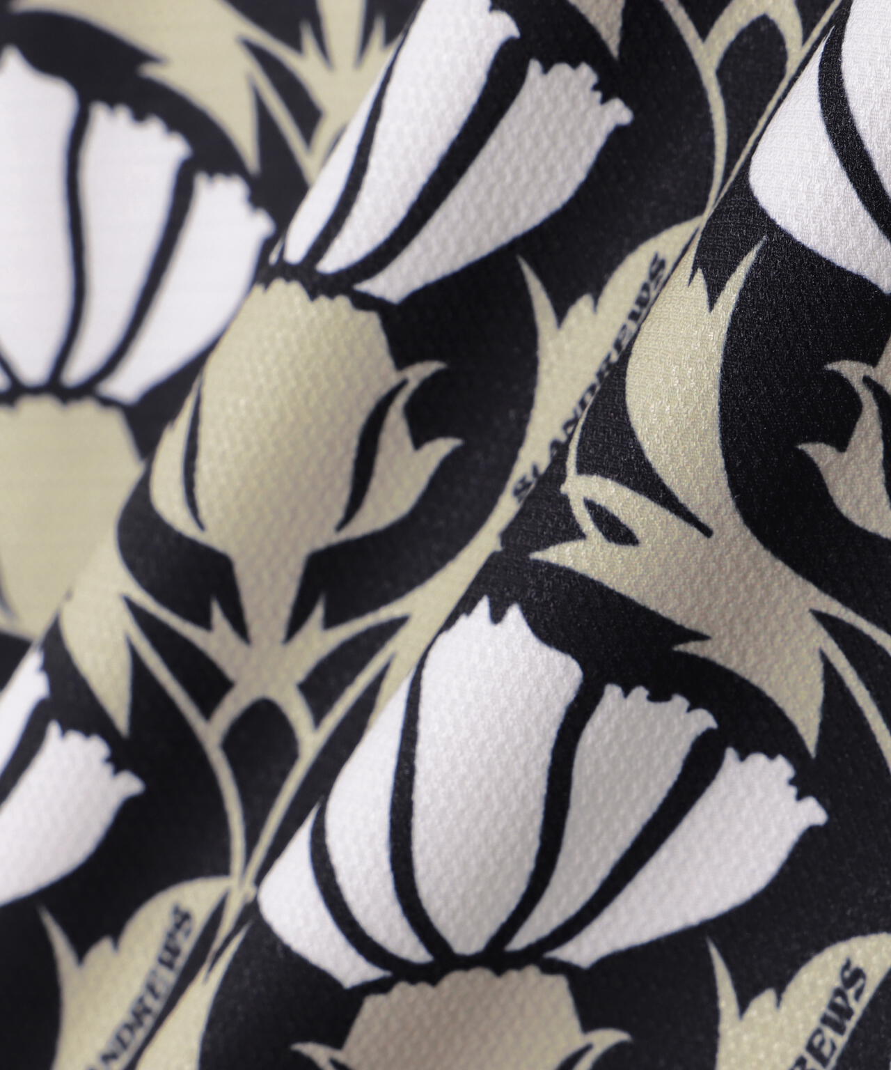 5e154ca1-88a2-508f-b5f4-e77992128d86_Image