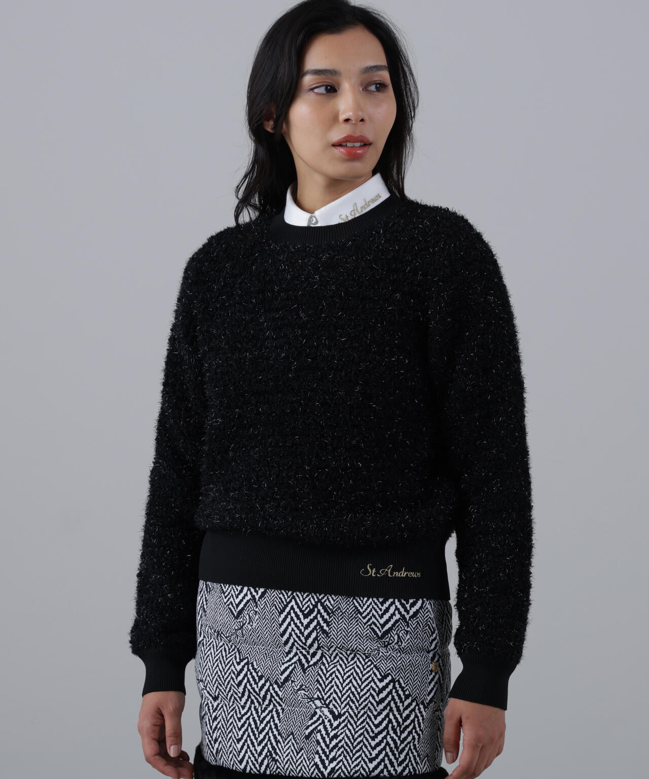 ファンシークルーネックニットプルオーバー (WOMENS)