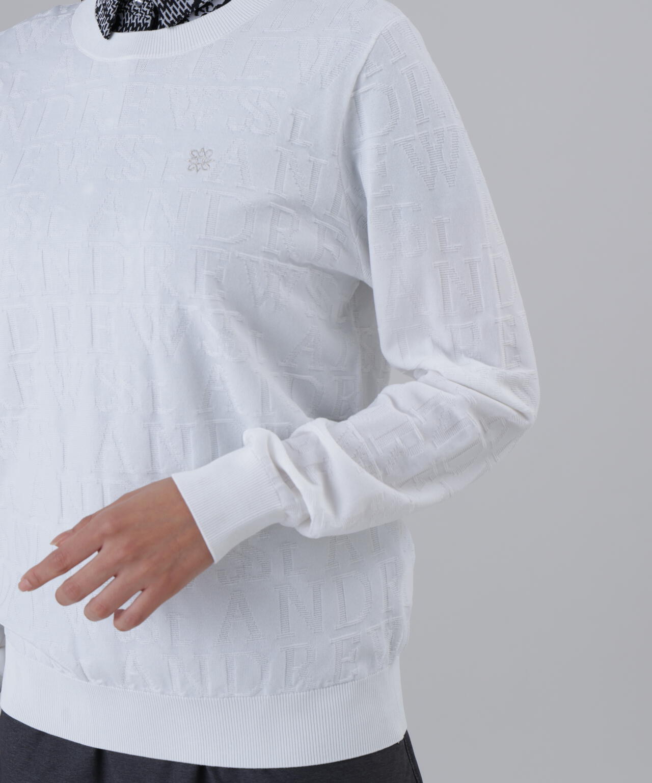 ダブルロゴジャガードクルーネックニットプルオーバー (WOMENS)