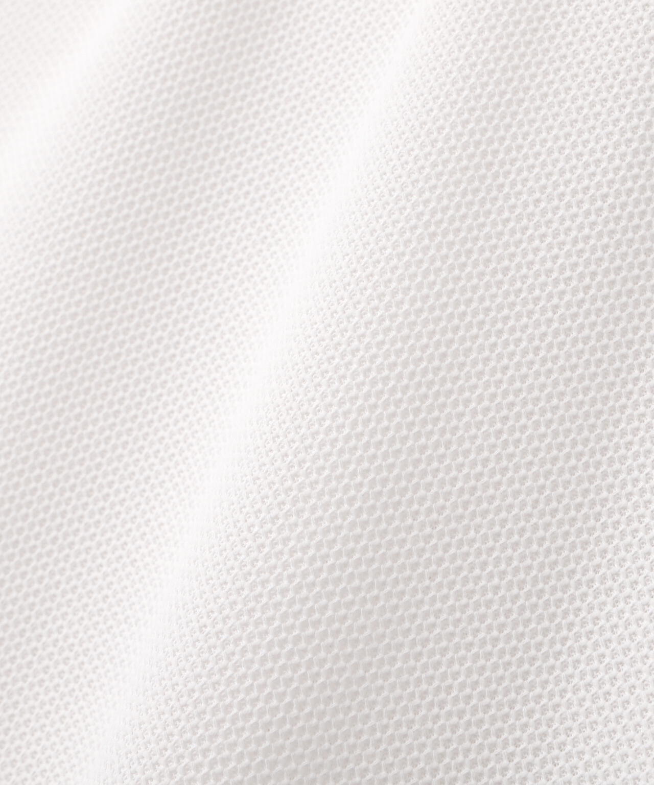 ff16227f-49a4-5c4e-b0b7-2472964e11fd_Image