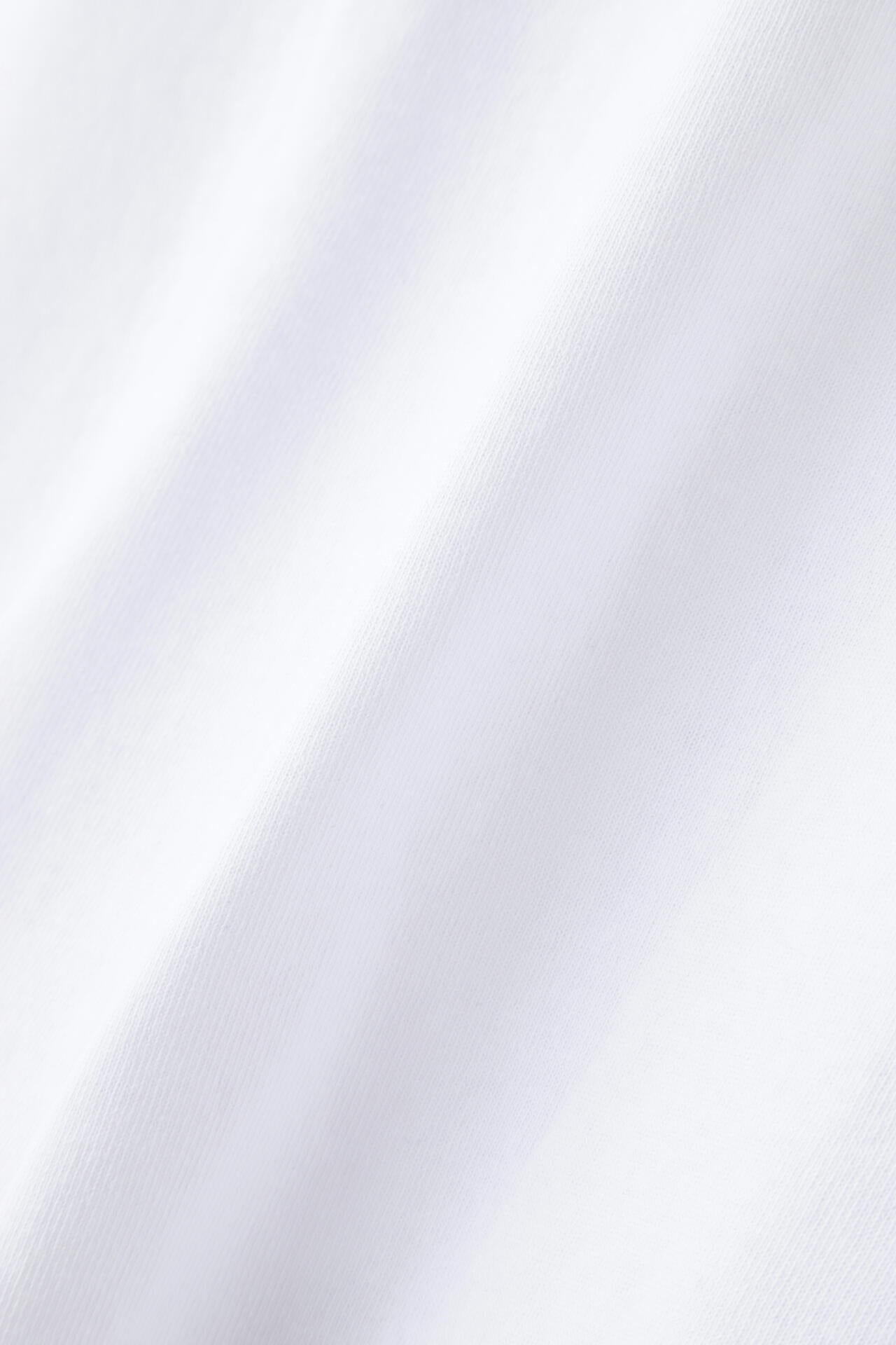 ba42591d-226c-5f76-8c1f-1f600b73f326_Image