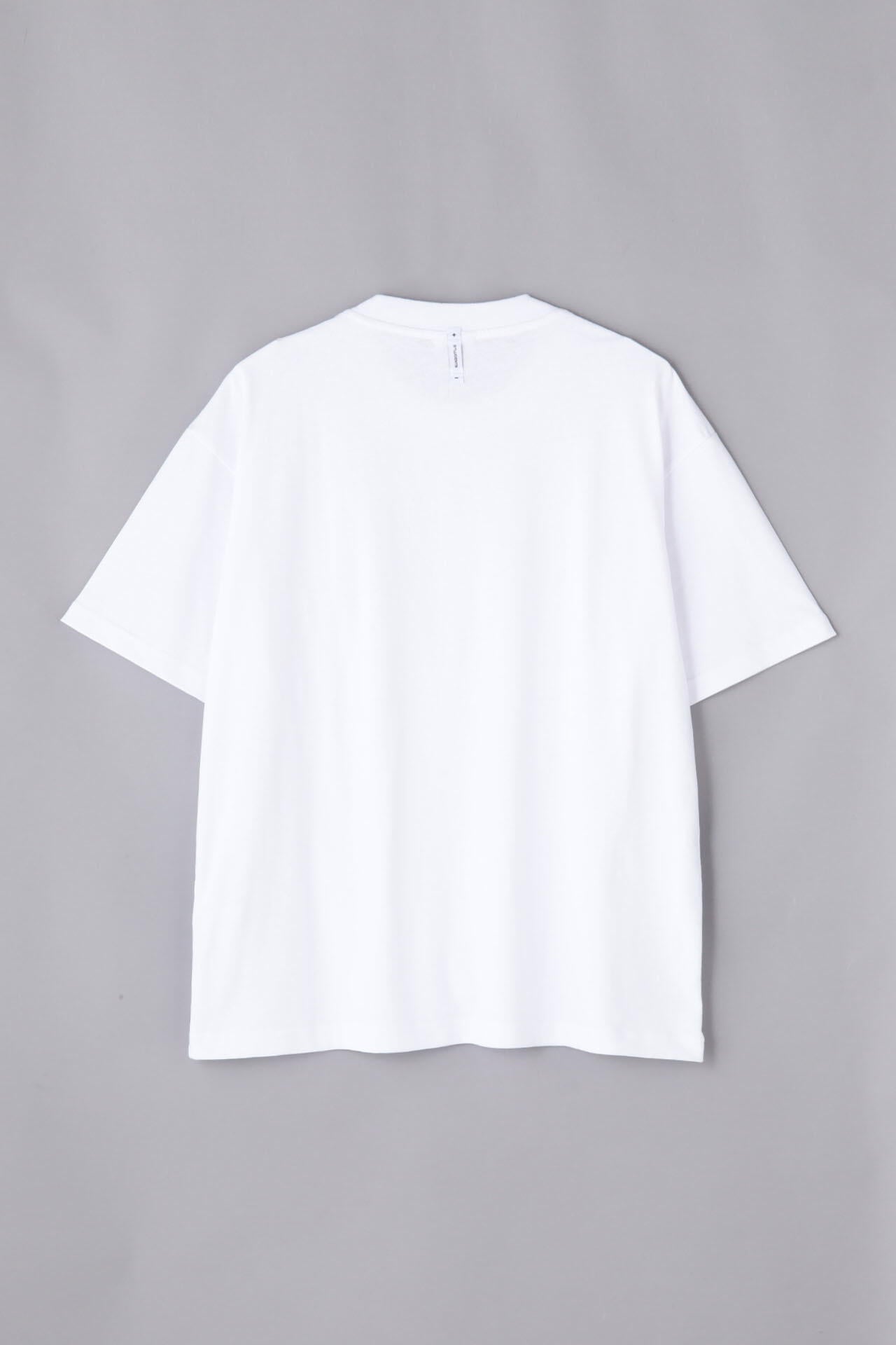 e48be496-d4c8-5ab4-9da0-ce87bf4d4393_Image