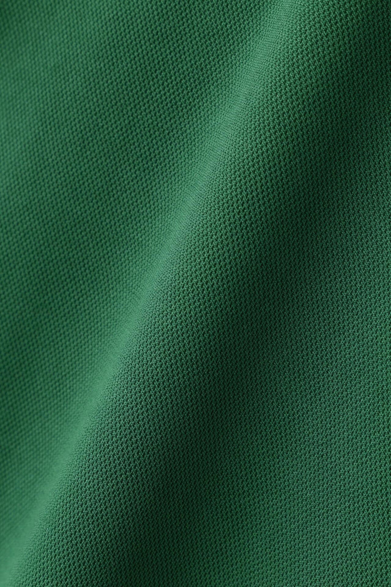 5ea113e1-e058-533f-8490-1dbe7bcc4533_Image