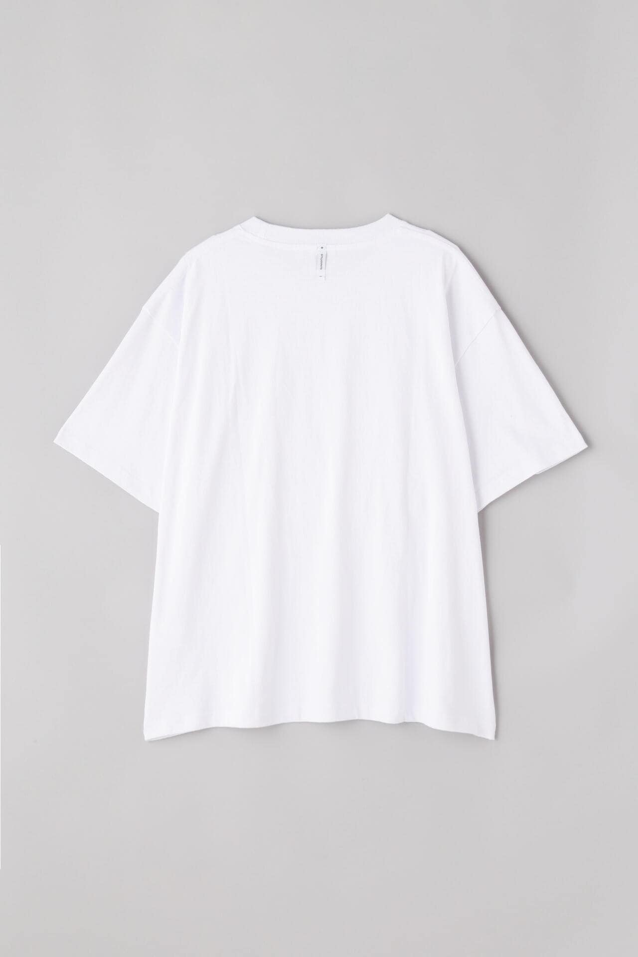 aa185824-66d2-57a0-9745-4c70016de1d3_Image