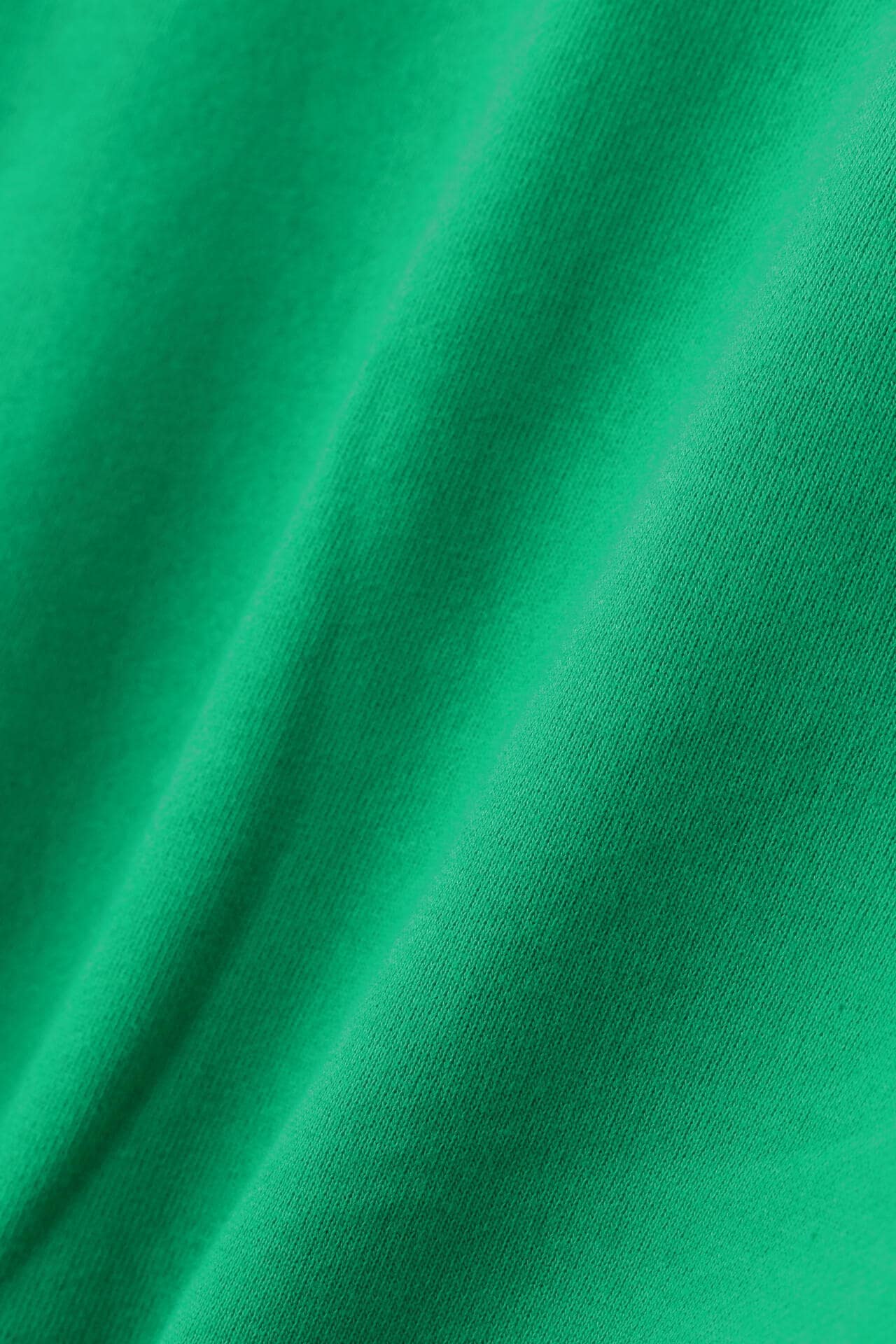 0e56cc1f-59da-55f5-bb79-d57e4696abd2_Image