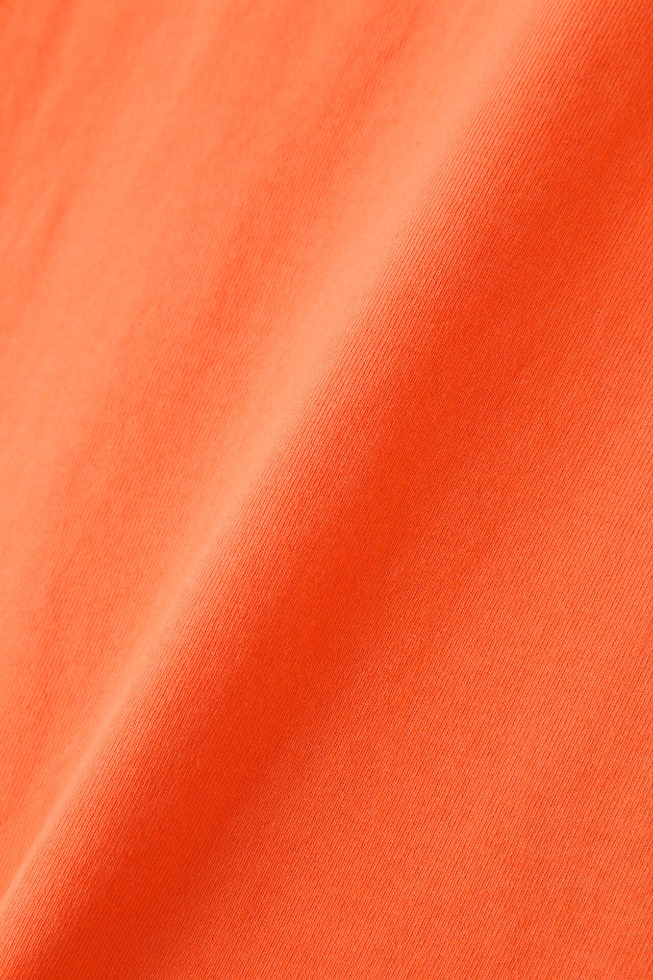 ac1871db-a4e6-5ae7-868b-2a1cfc27899a_Image