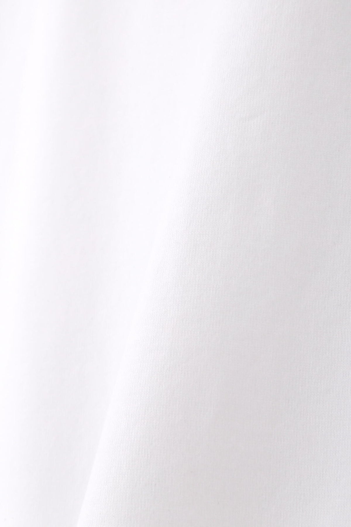 ハイゲージコットン天竺Tシャツ