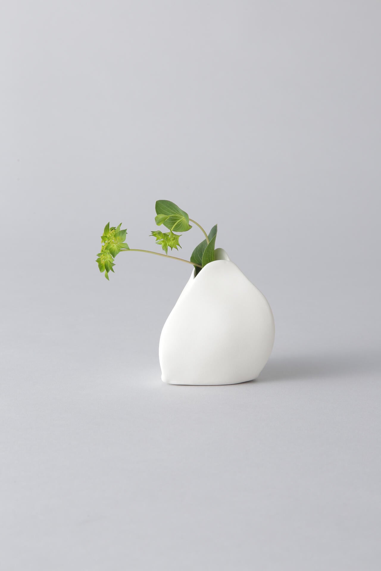 【Gg】Flower Vase by Roos Van de Velde S
