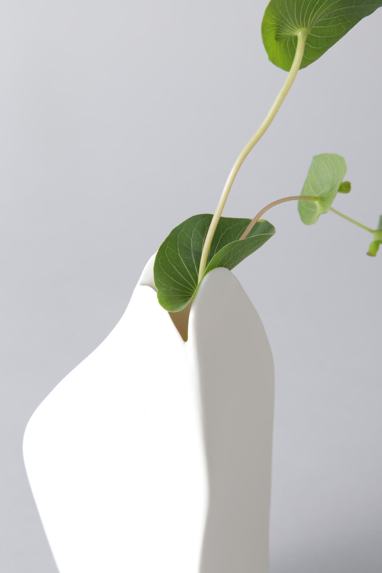 【Gg】Flower Vase by Roos Van de Velde L