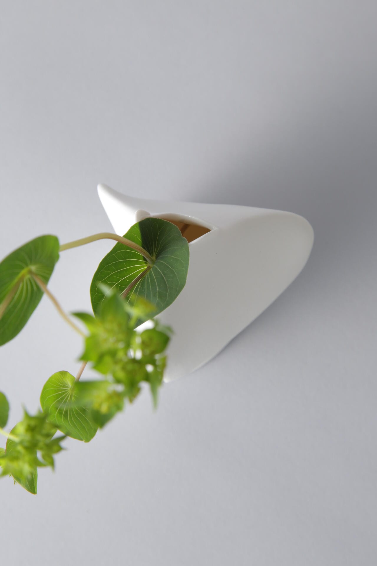 d41e209a-826b-5785-a704-a91f9a8a70a7_Image