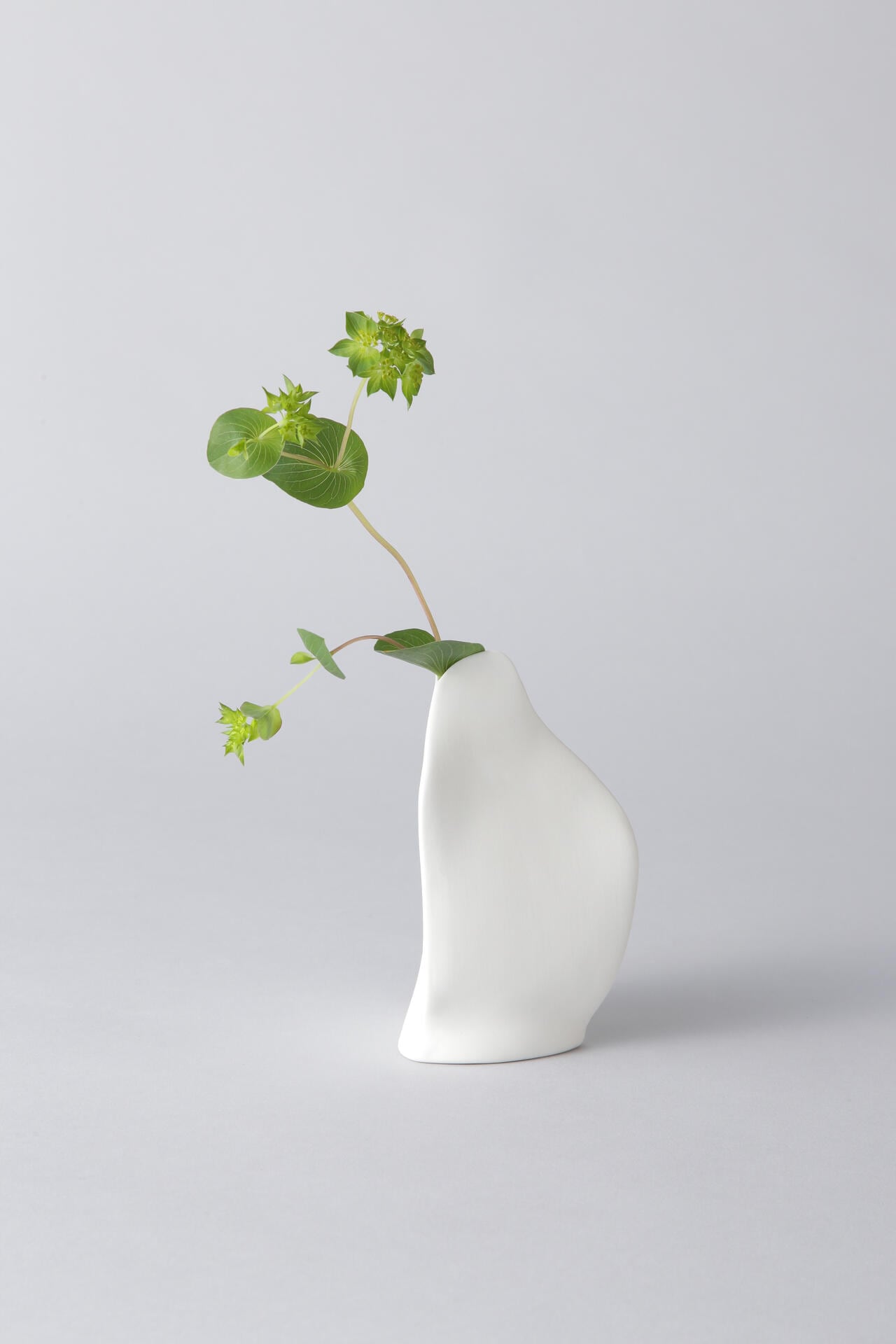【Gg】Flower Vase by Roos Van de Velde L
