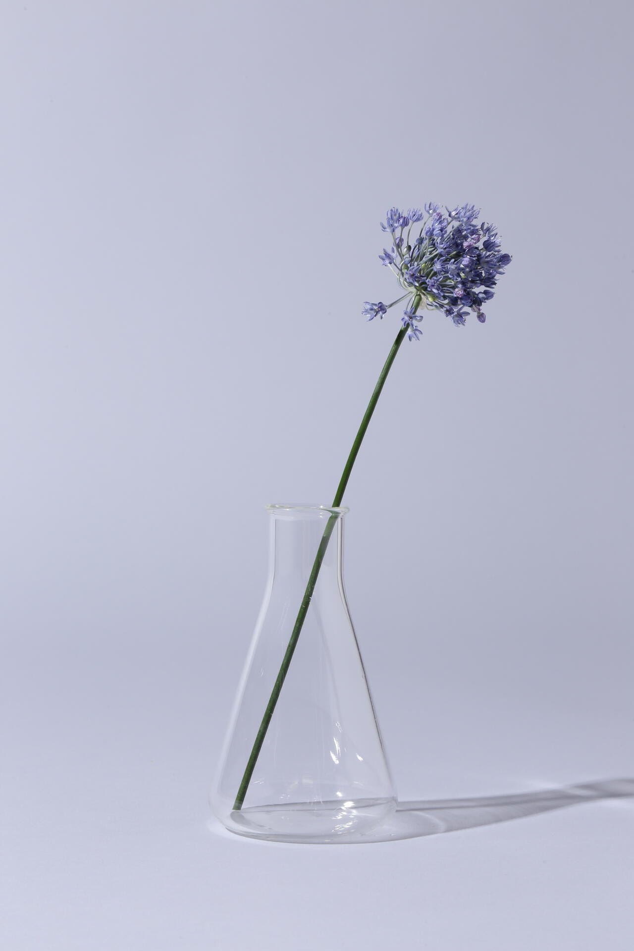 0d58dc1b-b32b-51dd-bdc4-bc059c4e3067_Image