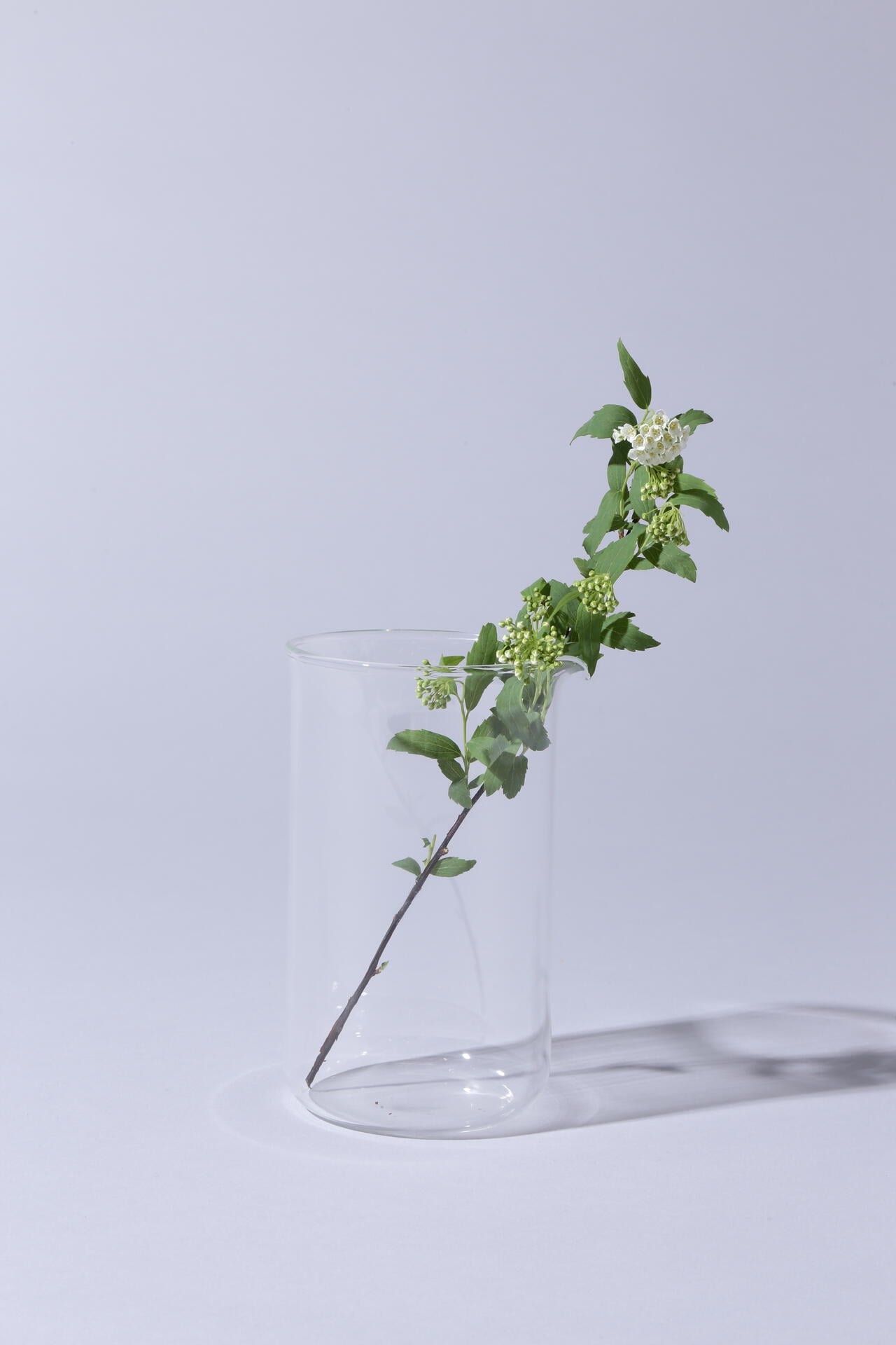 9f46b40d-357c-59a7-9ca3-0838cf3741c2_Image