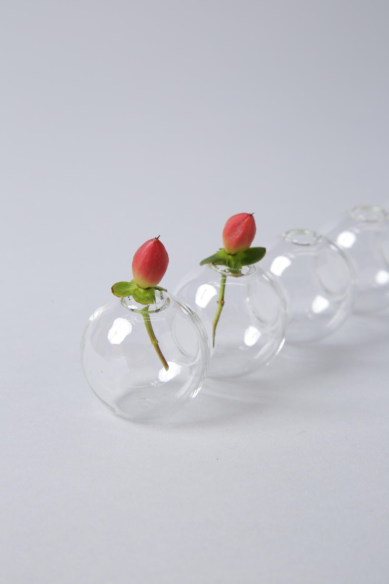 【Gg】SERAX Sixball Rene Barbs