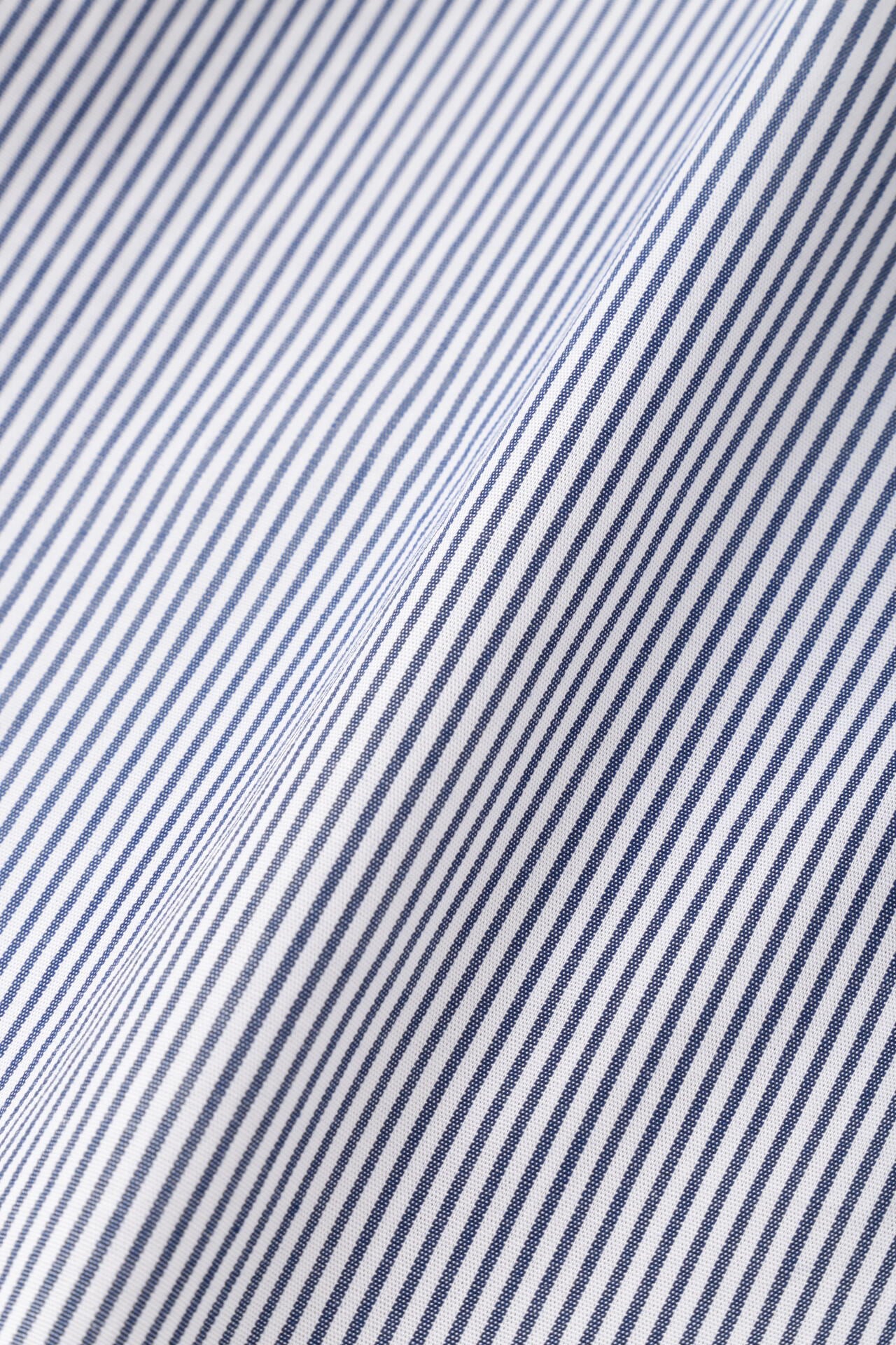 d53009ee-6e19-5e8f-b482-f367a649ab02_Image