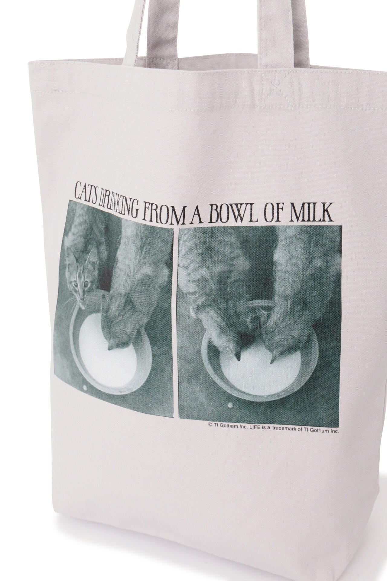 a8f41248-6dc4-5275-a420-24528e7e5c25_Image