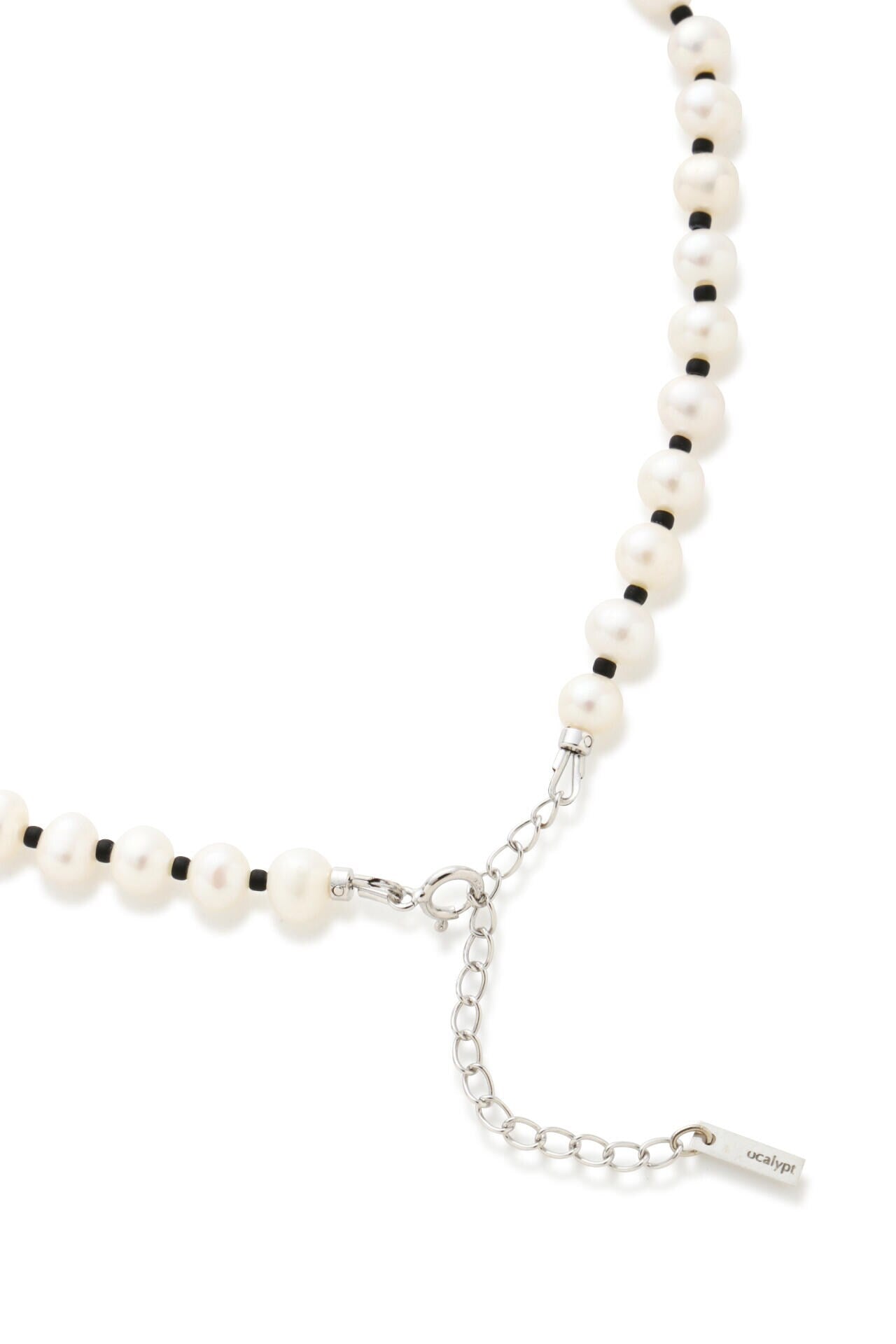 956ff0c0-93b5-554b-889d-acc33fc6e108_Image