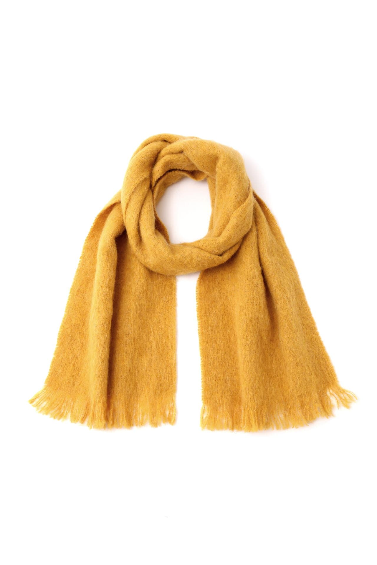 24c28de3-1f1f-53db-a148-26ac70694a2a_Image