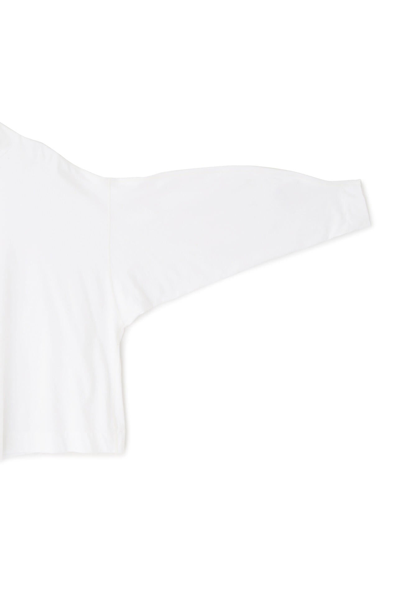 サルージャ天竺エアロタートルネックカットソー