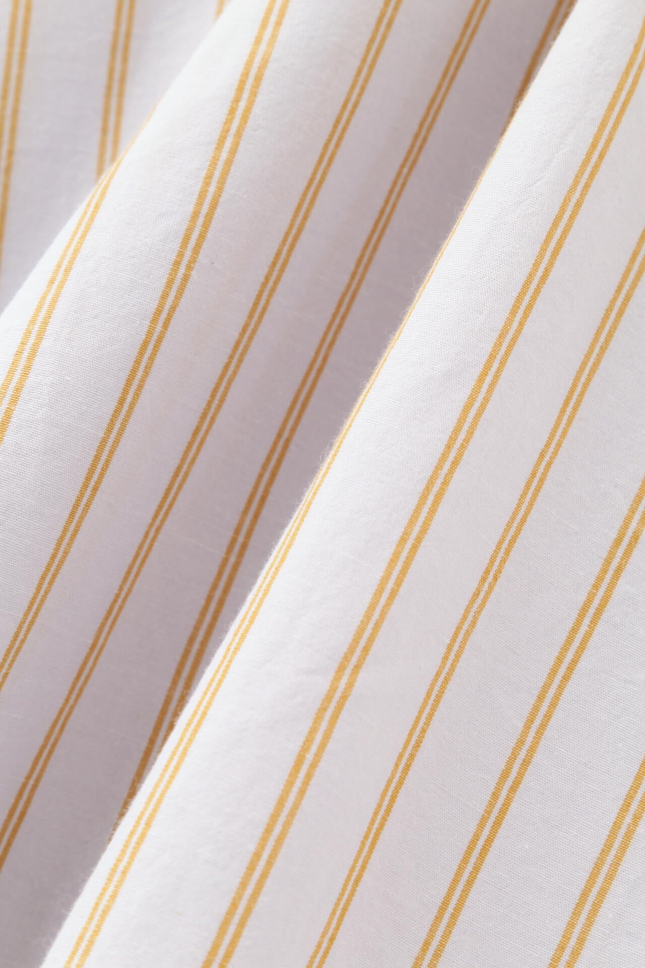 10d903f7-0573-5879-81da-286ac350dadf_Image