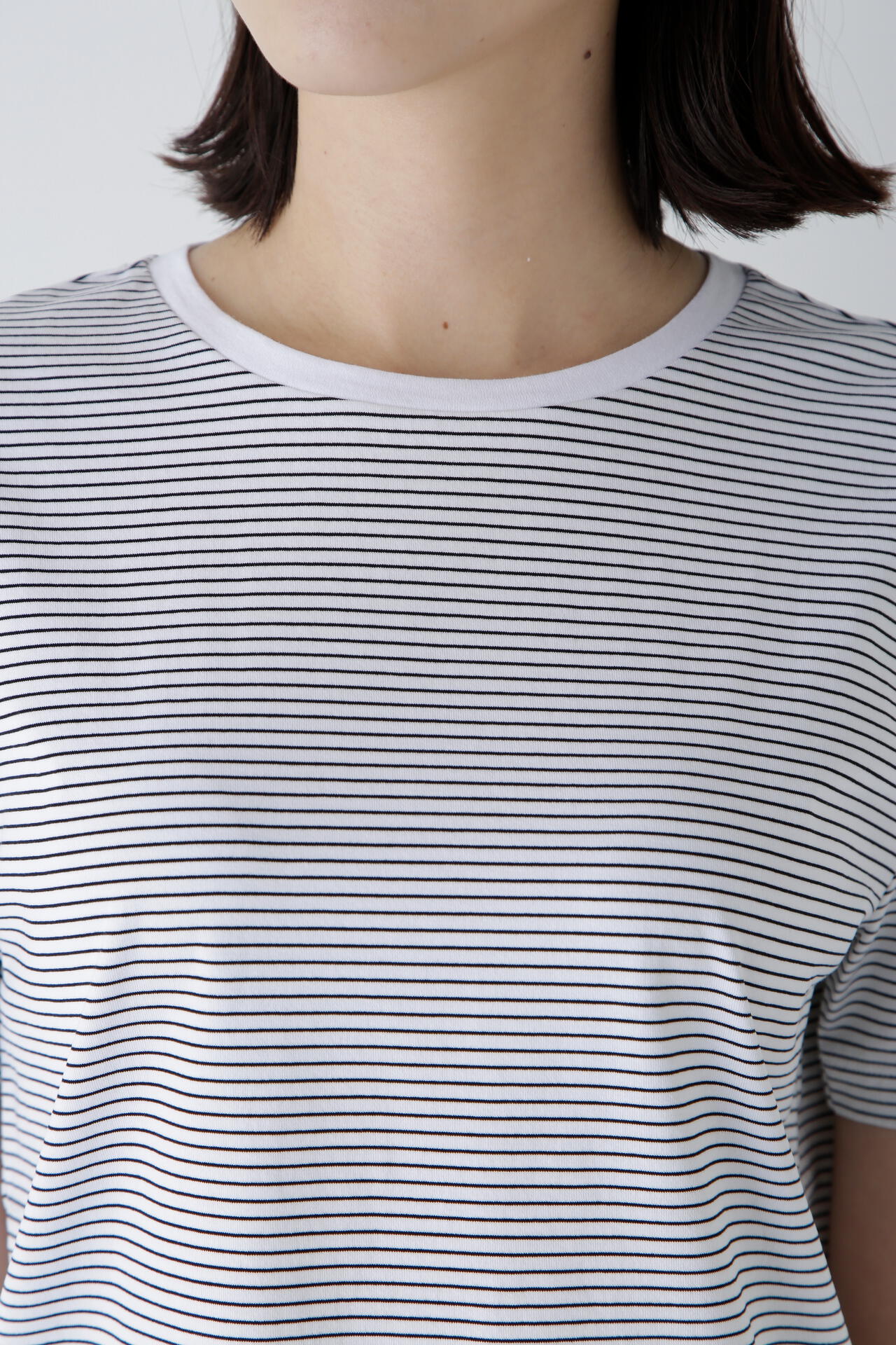 半袖Tシャツボーダーオーガニック綿天竺