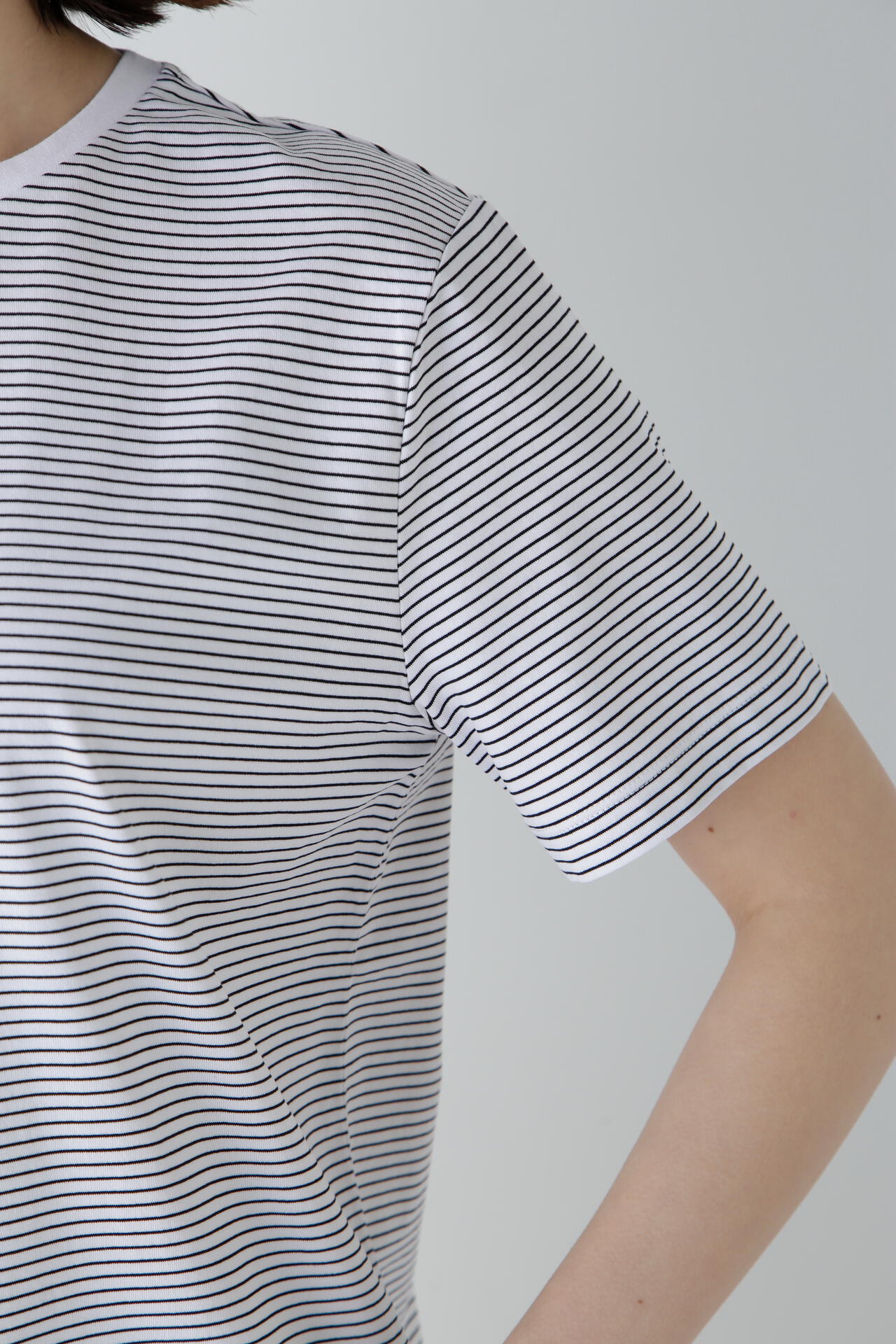 半袖Tシャツボーダーオーガニック綿天竺