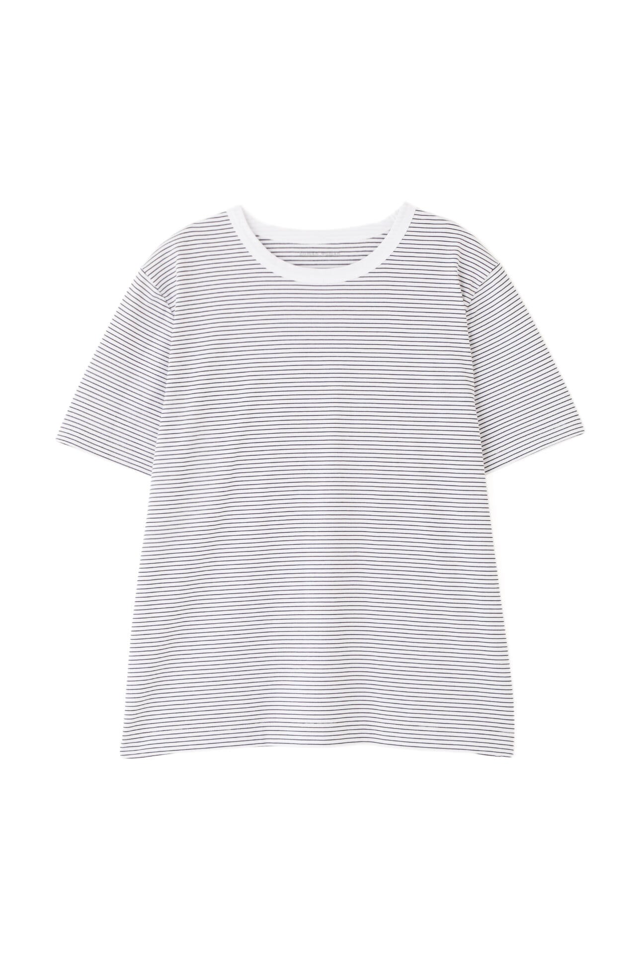 半袖Tシャツボーダーオーガニック綿天竺