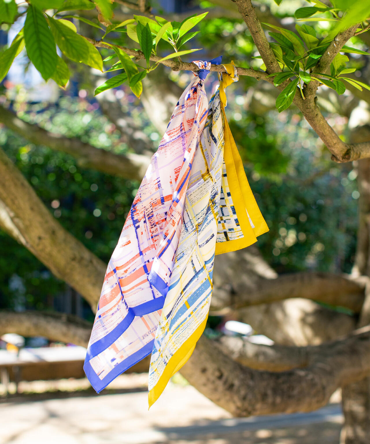 e3e25f71-1e41-5d7d-9838-4a835ddbfa61_Image