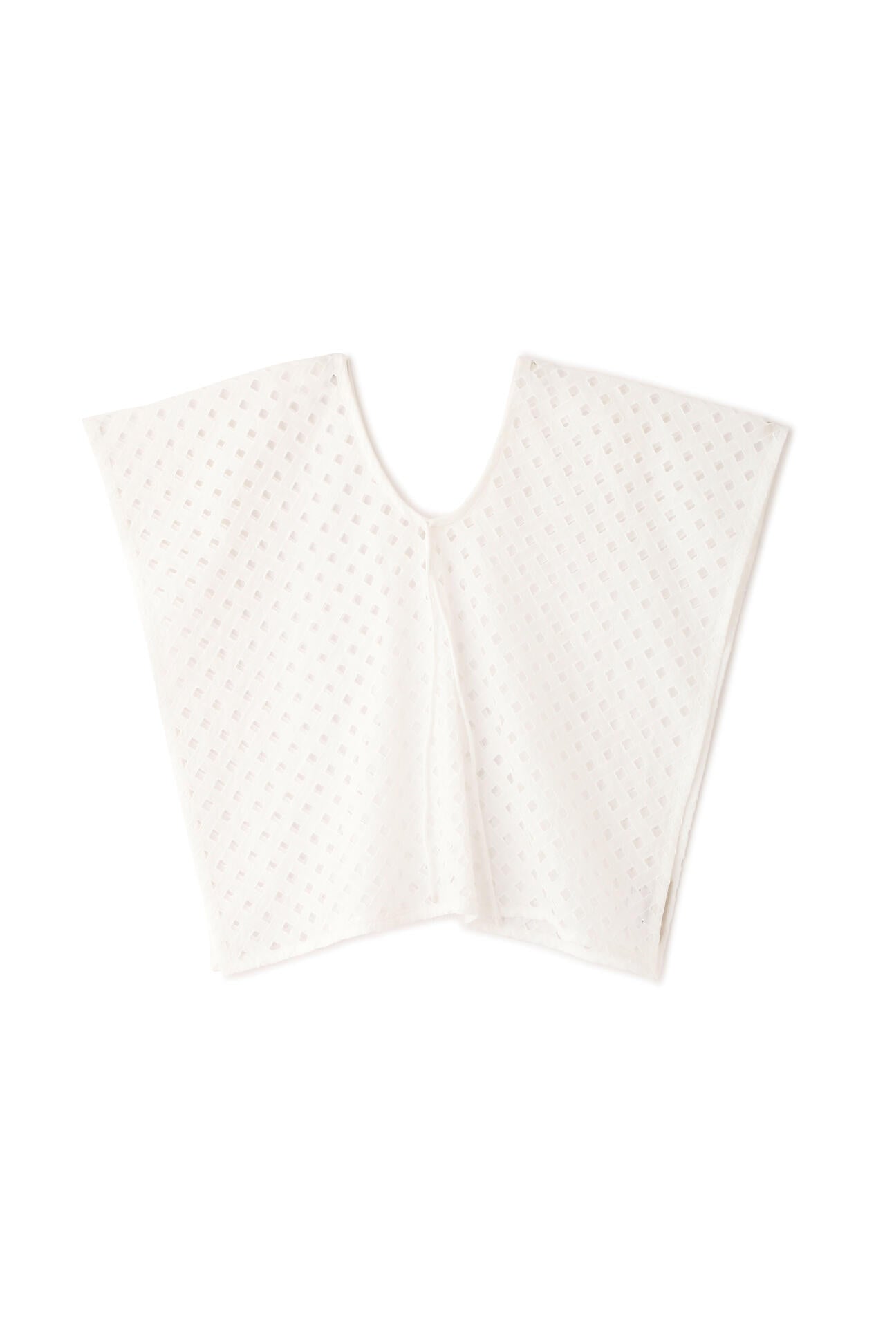 29a6fff7-1647-557a-bfec-3719e15ead24_Image