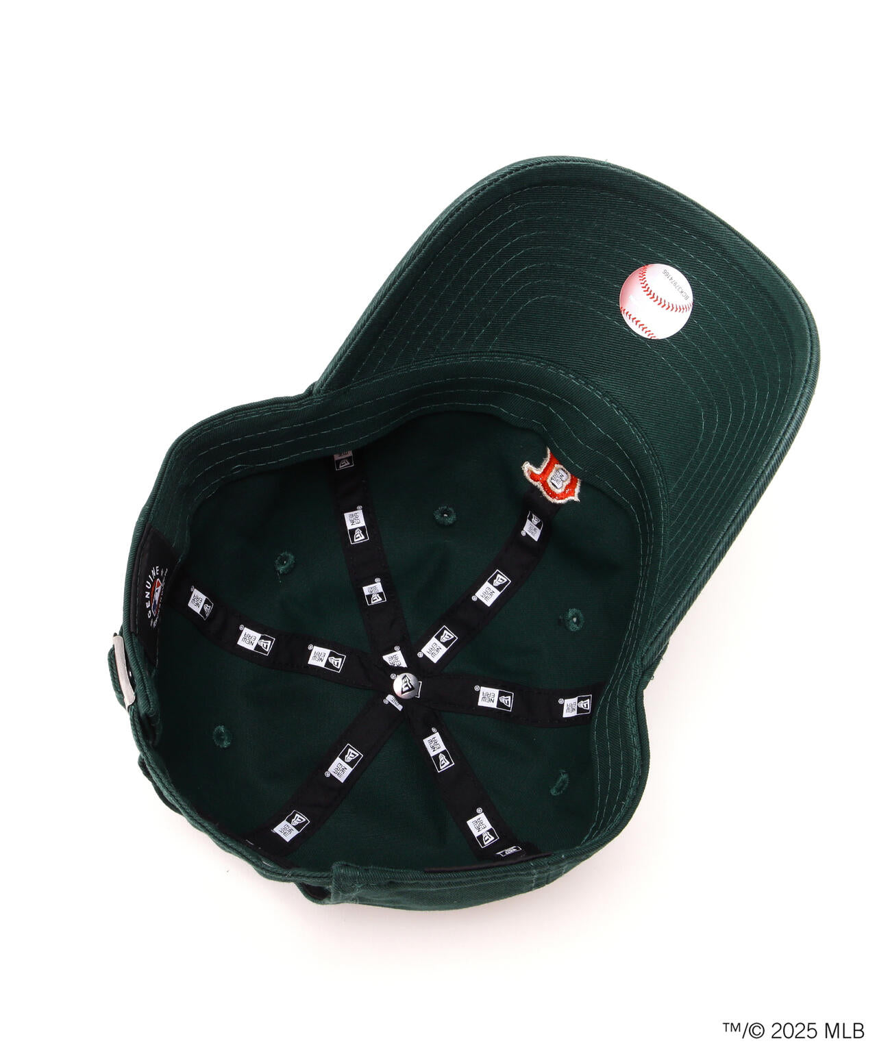 afcce3ff-2367-5fdd-9f1e-8c9261d98ea6_Image