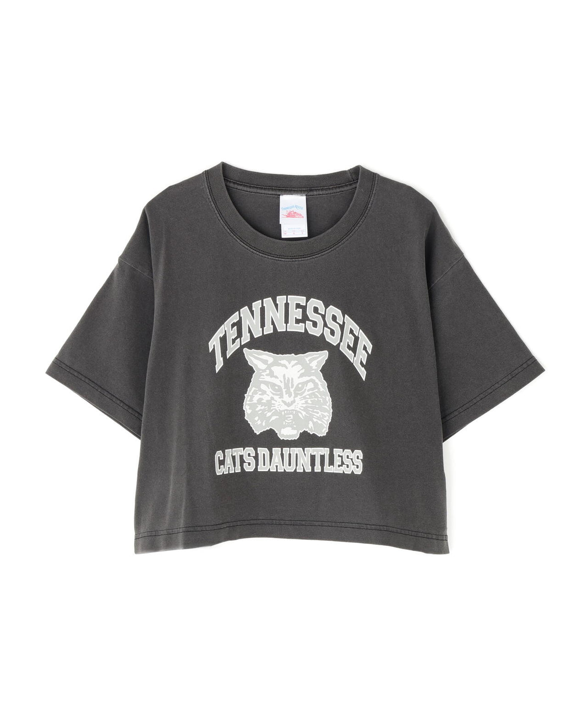 〈フリーズマート別注〉テネシーリバーショート丈Tシャツ