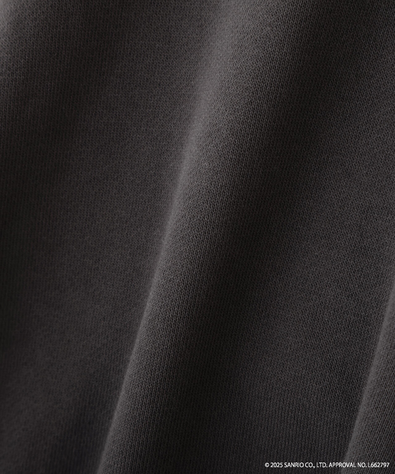 【HELLO KITTY】サンリオキャラクターズコラボ SHORT SWEAT ショートスウェット 胸LOGO×袖RIBBON