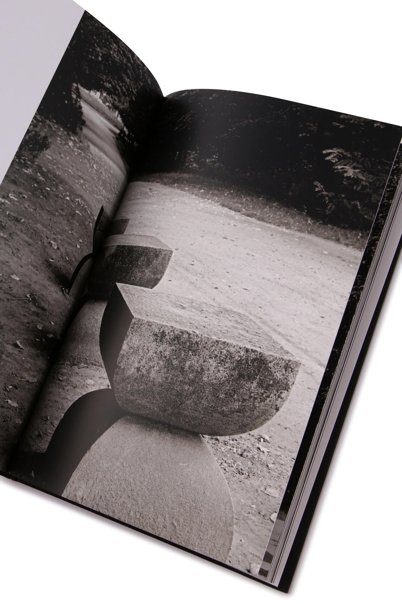 BRANCUSI / Dan Er Grigorescu
