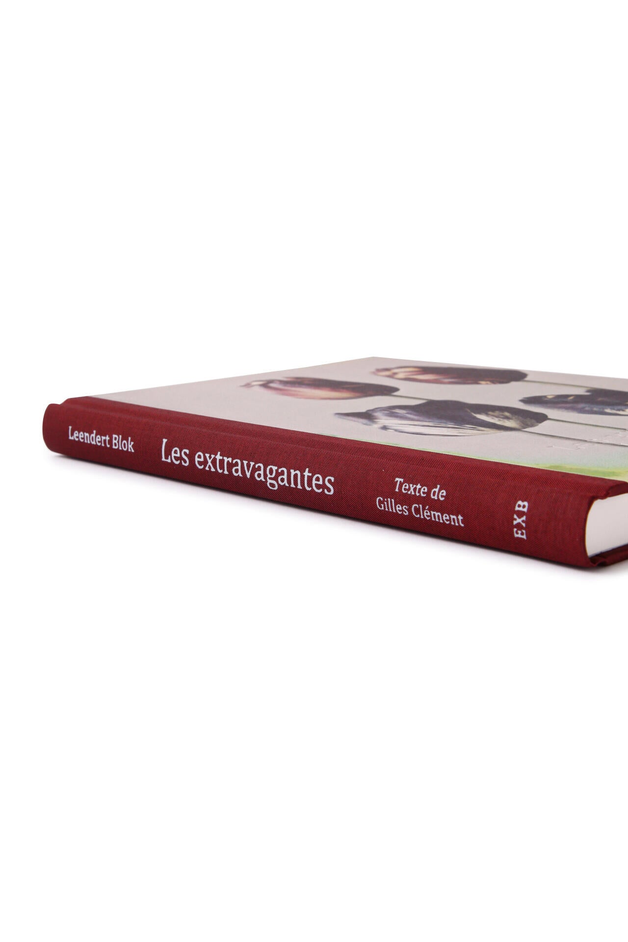 LES EXTRAVAGANTES / Leendert Blok