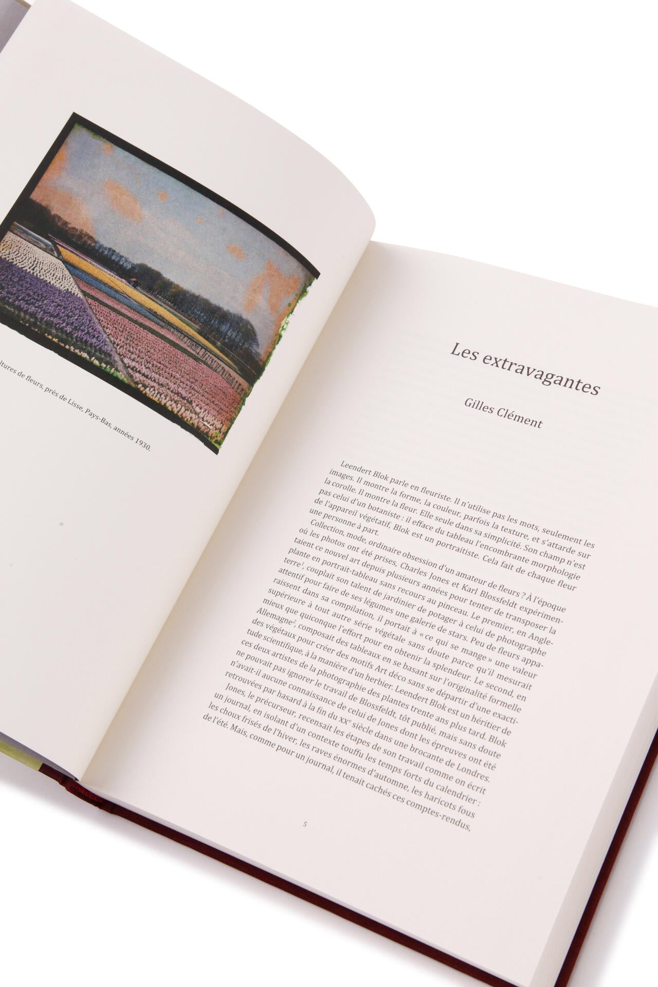 LES EXTRAVAGANTES / Leendert Blok