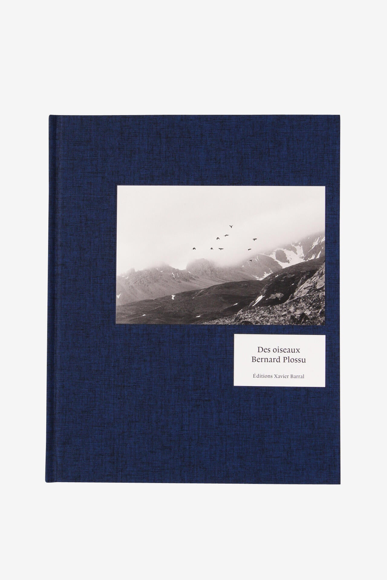 Des Oiseaux / Bernard Plossu