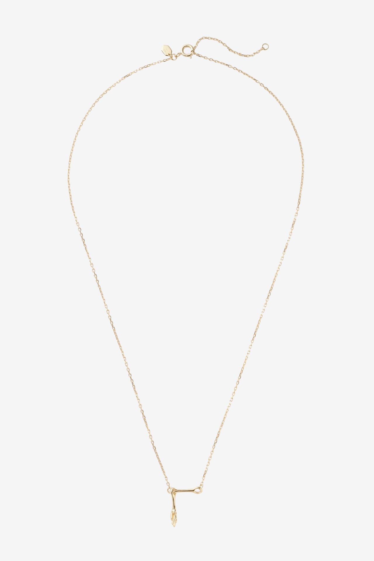 MARIA BLACK / CARRION NECKLACE GOLD HP