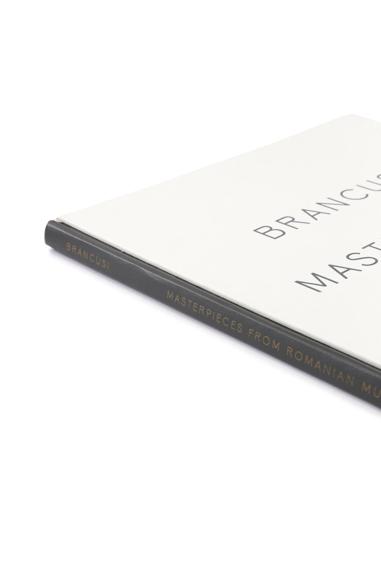 MASTERPIECES FROM ROMANIAN COLLECTIONS CATALOGUE / Constantin Brancusi