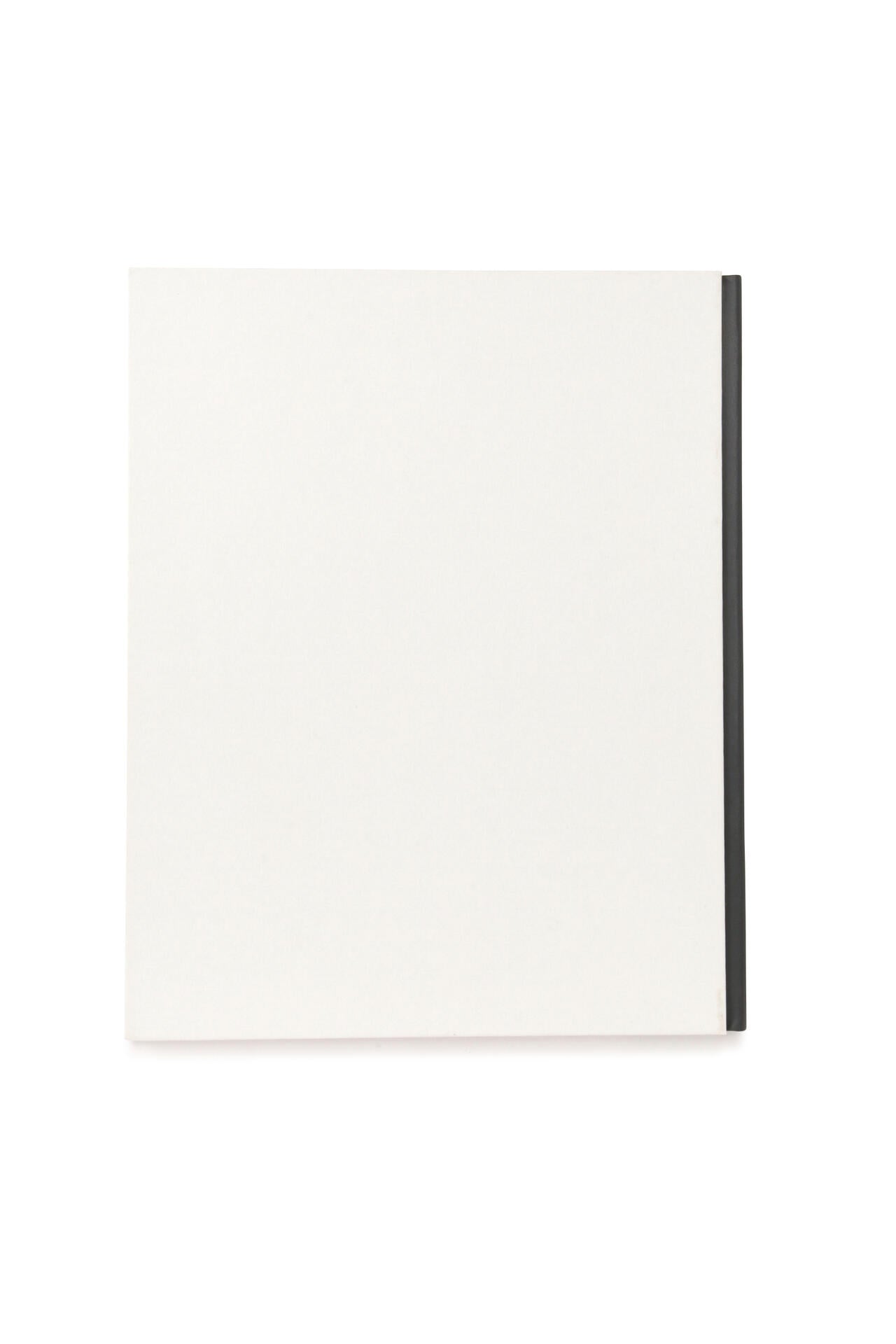 MASTERPIECES FROM ROMANIAN COLLECTIONS CATALOGUE / Constantin Brancusi