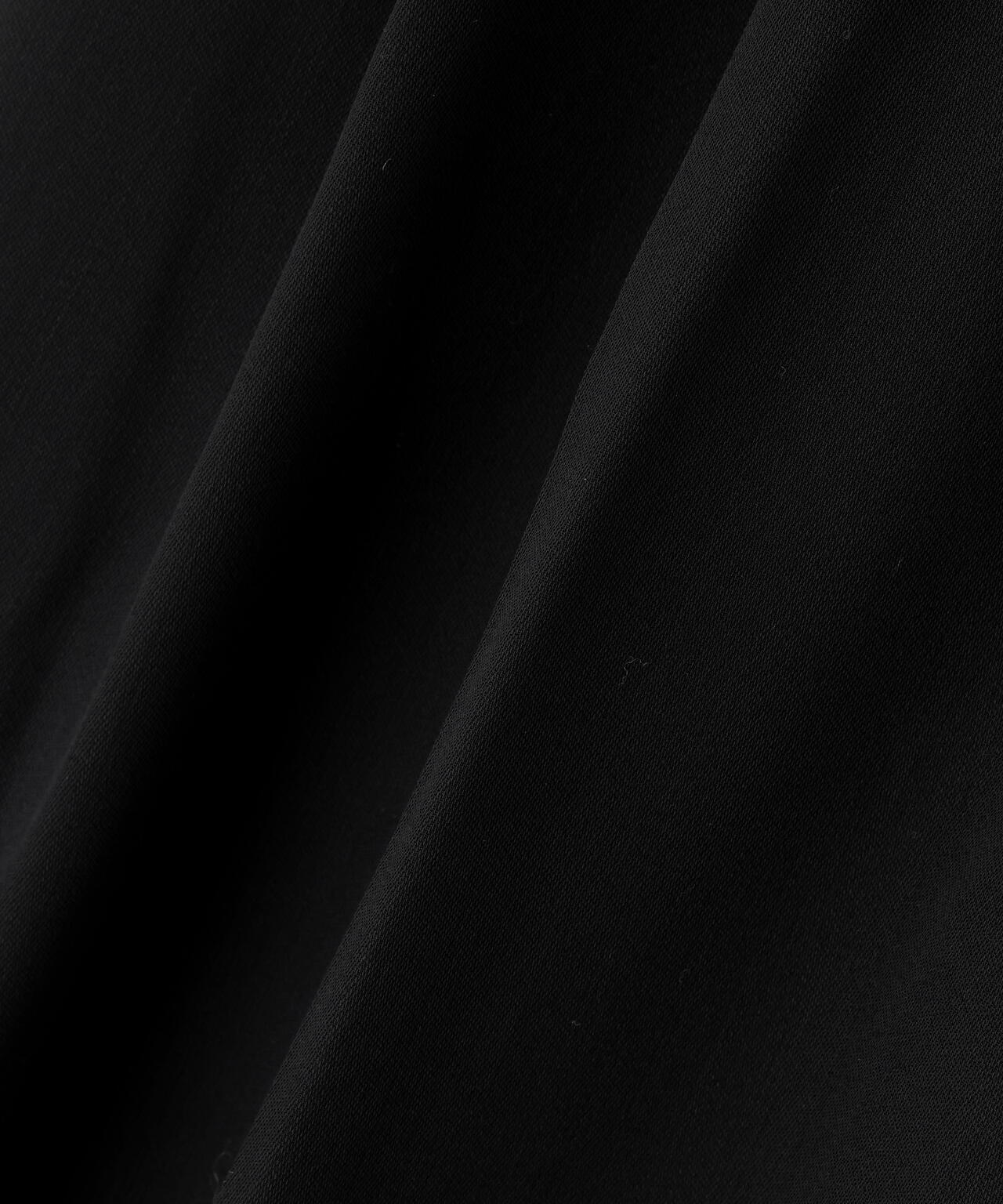 Cristaseya / DOUBLE PLEATED WIDE PANTS